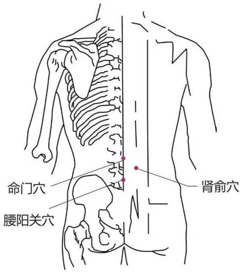 艾灸 颈椎 腰椎的穴位