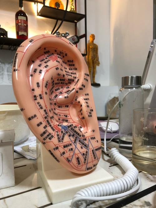 耳穴 特定穴位 经验穴