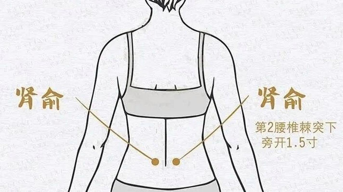 肾俞和命门 穴位 艾灸
