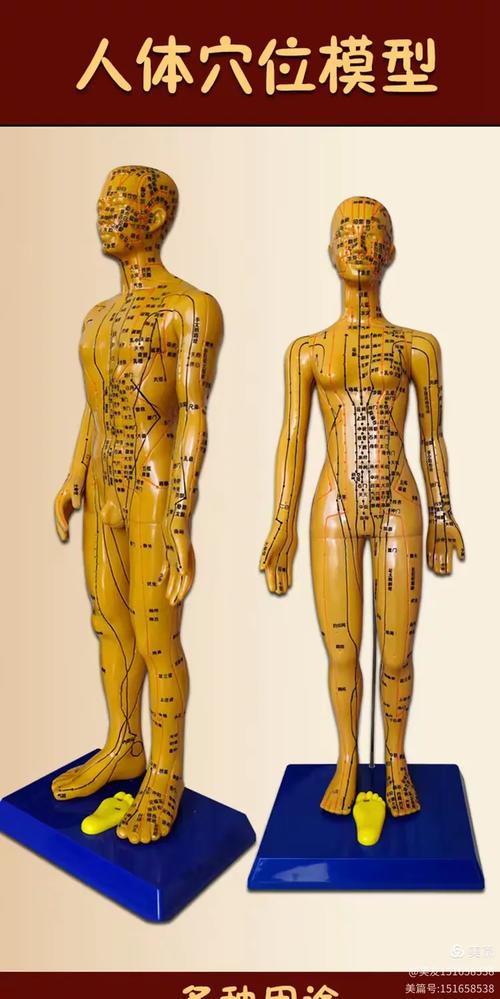 脑出血 康复 按摩穴位