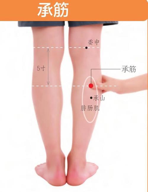 大腿根部生疮 按摩穴位