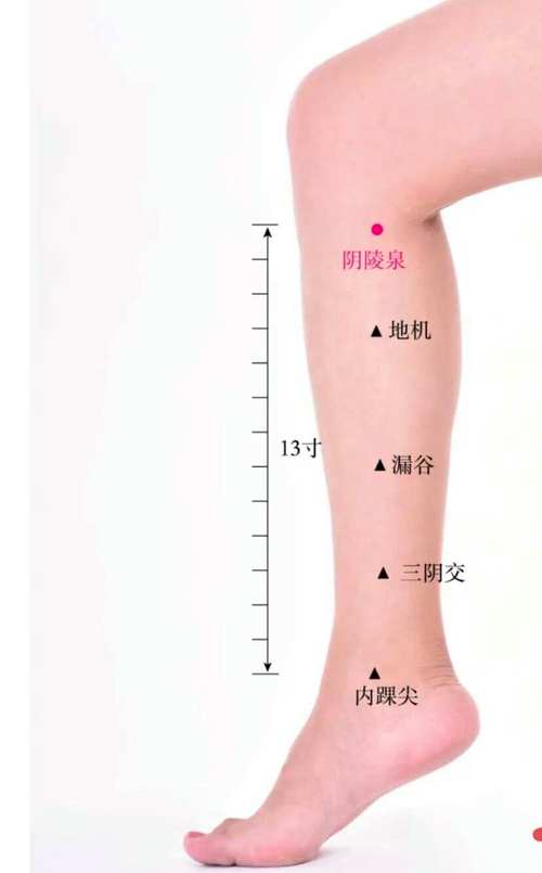 输尿管疼痛按摩什么穴位