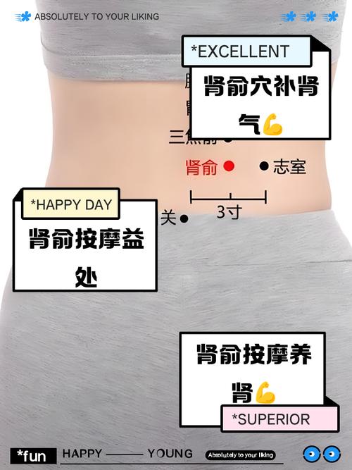 ye xia有多少穴位