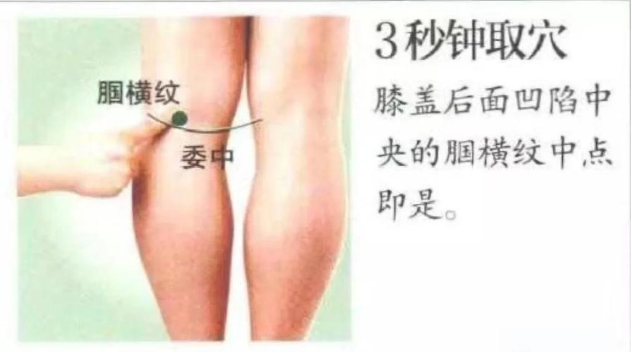 穴位注射 委中穴 视频