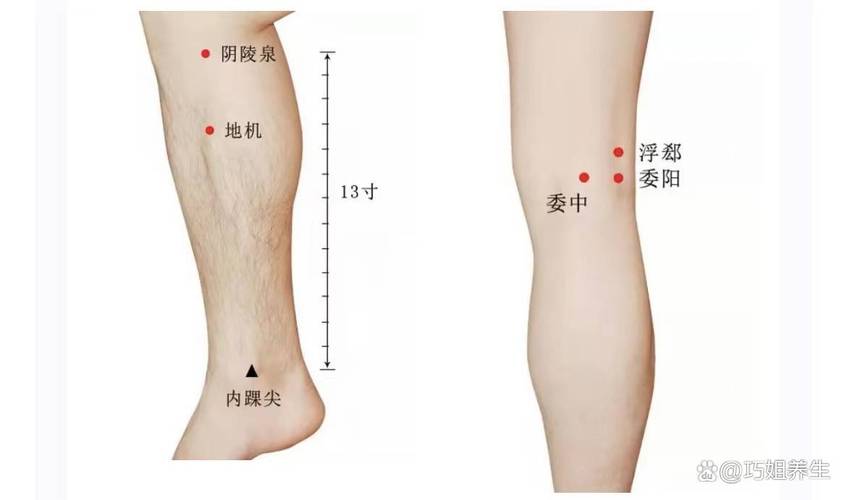 穴位注射 委中穴 视频