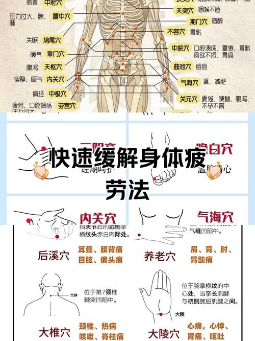 养生 每天按摩哪些穴位