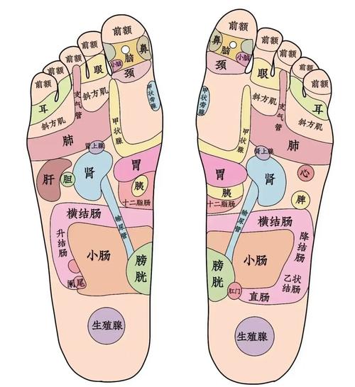 nvxing脚底穴位图