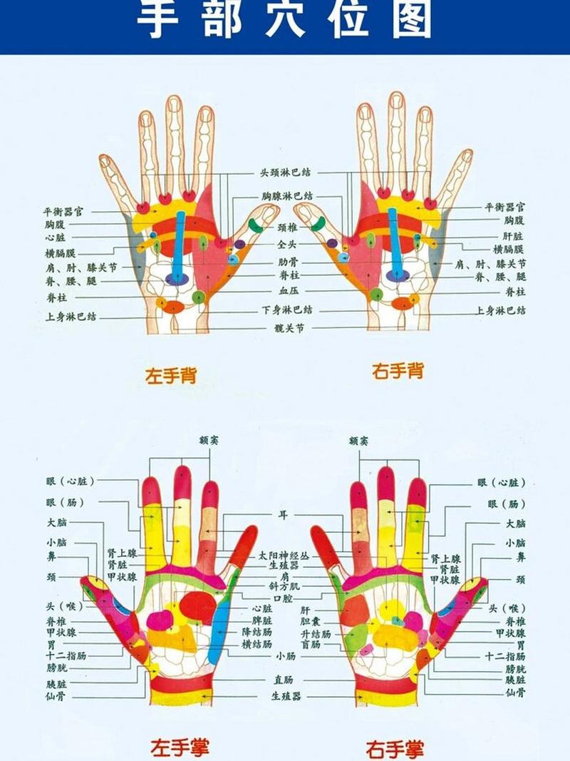 手部穴位flash下载
