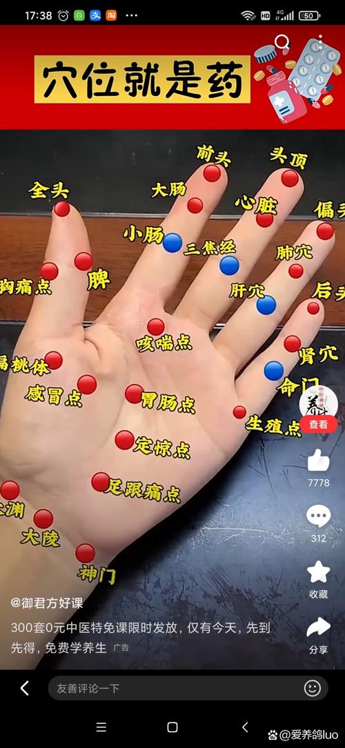 手部穴位flash下载