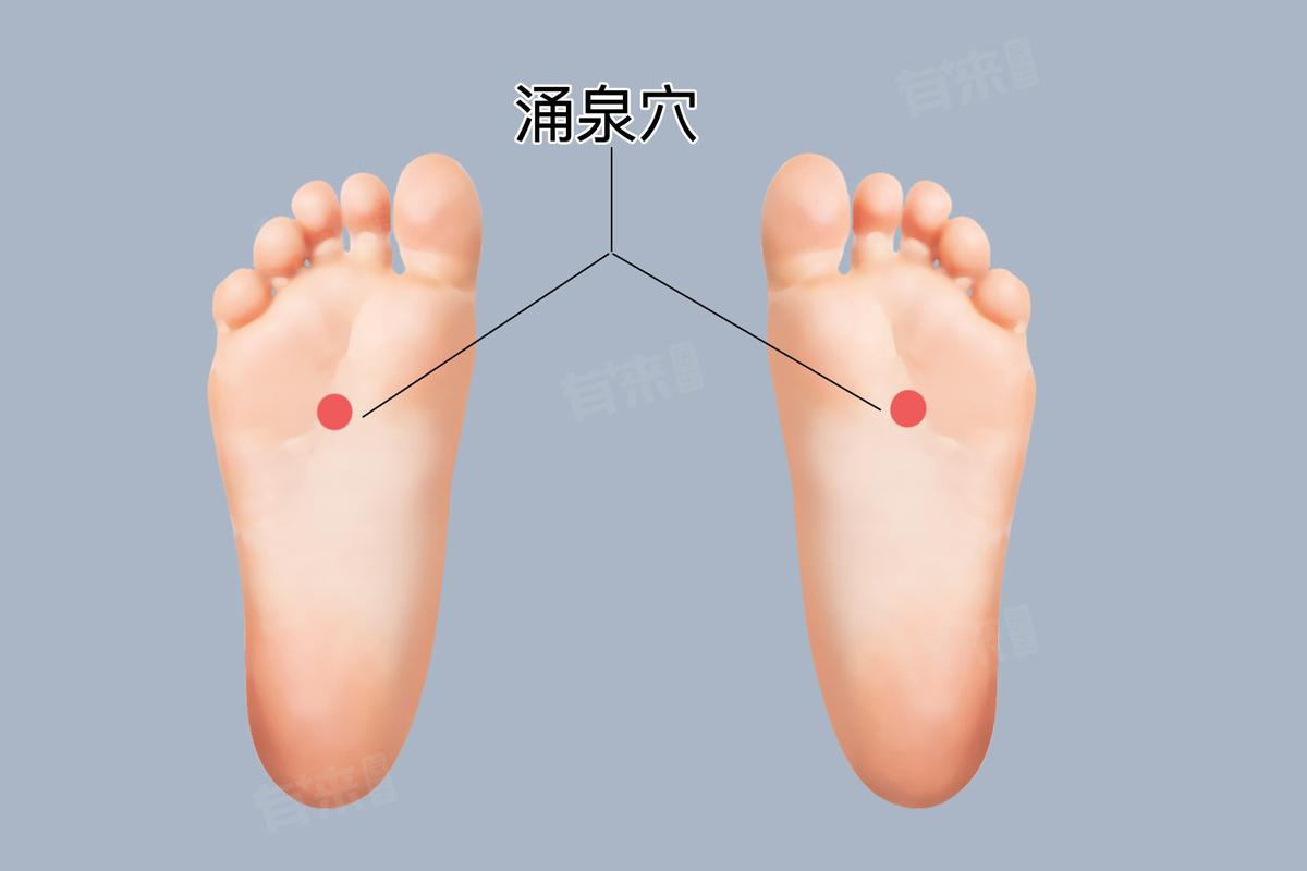 中医.经络.穴位.涌泉