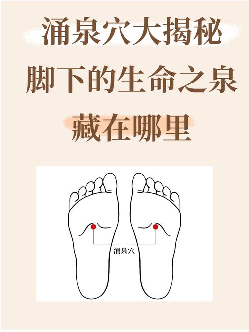 中医.经络.穴位.涌泉