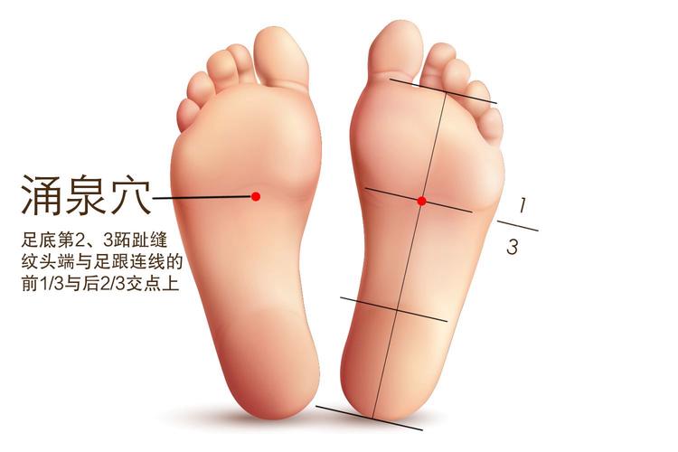 中医.经络.穴位.涌泉