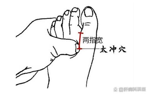 胰腺 黄疸 按摩 穴位