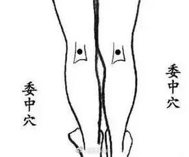 穴位 腰背委中求
