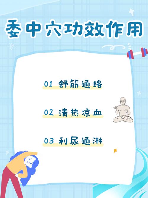 穴位 腰背委中求