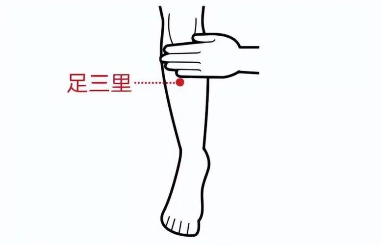 胳膊减肥穴位 经验