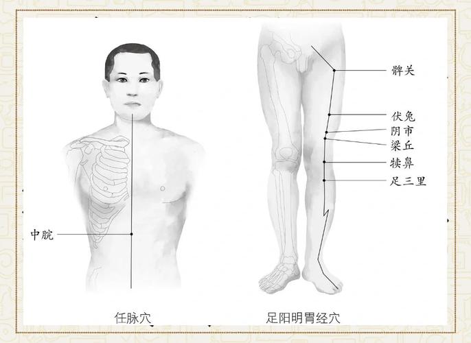 髀关 穴位 简单 准确