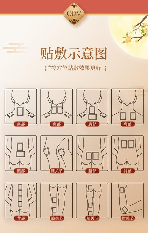 疝气穴位贴有哪几个穴位