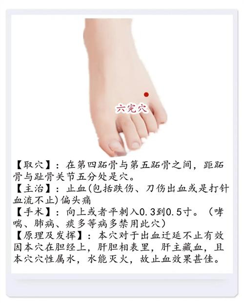 zhenjiu止血穴位