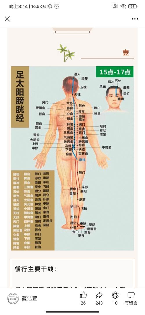 脊椎穴位及膀胱经穴位图