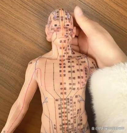 高血压穴位埋线穴位有那