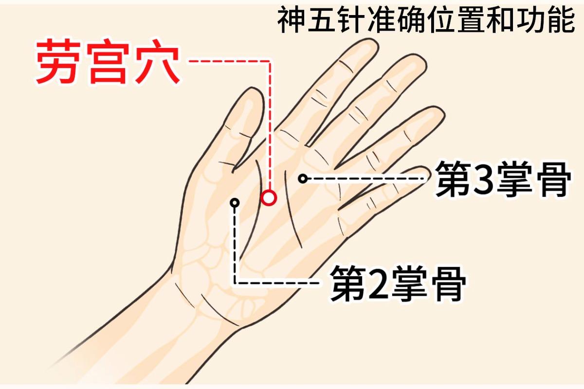 手上的穴位图宫寒穴位置