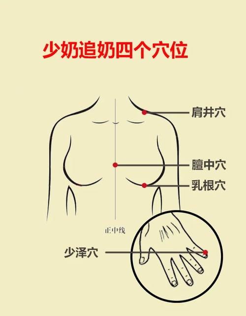 催乳穴位最主要穴位图片