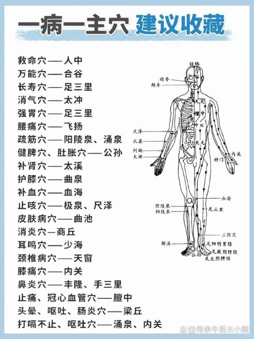 c常见病穴位穴位按摩图