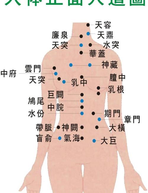 c常见病穴位穴位按摩图