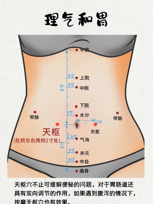 建里穴位两旁是什么穴位