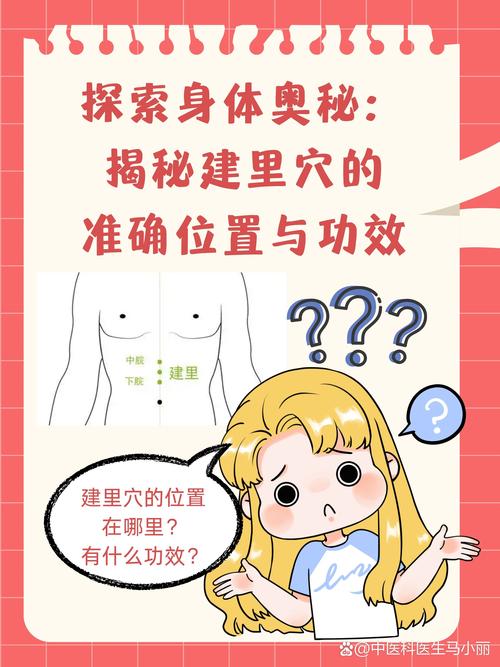 建里穴位两旁是什么穴位