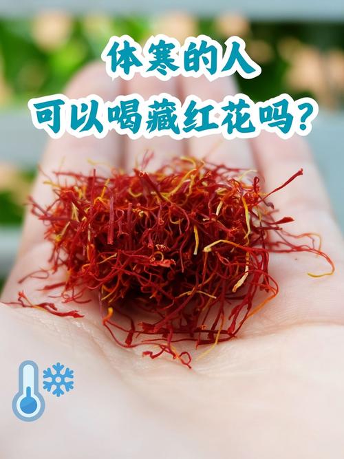 心梗脑梗可以喝藏红花吗
