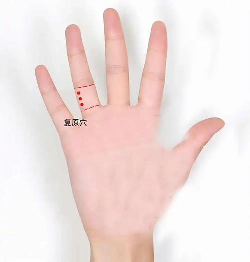 无名手指有什么穴位穴位