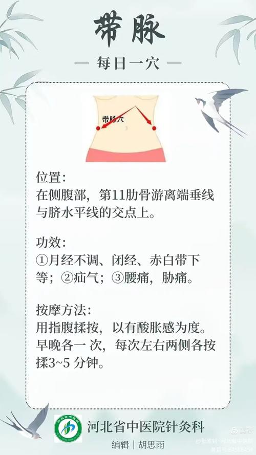 带脉穴位图全身穴位图谱