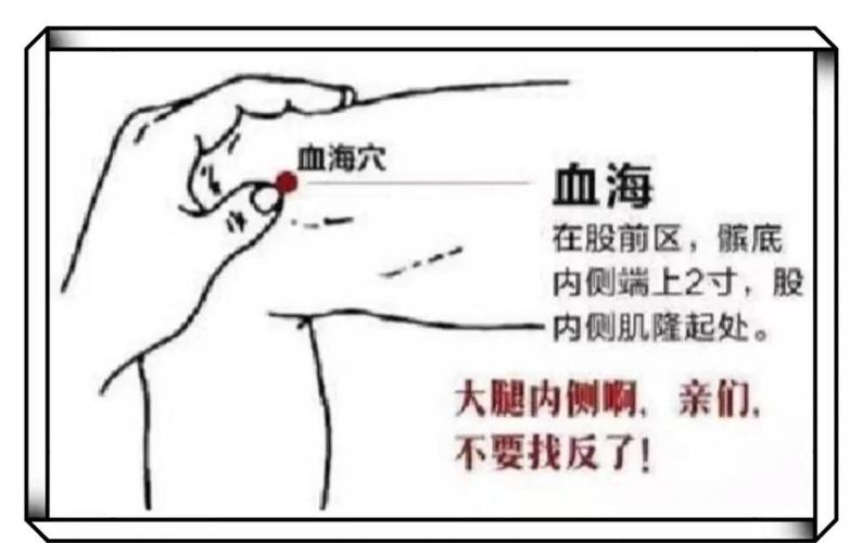 血海穴的准确穴位图穴位