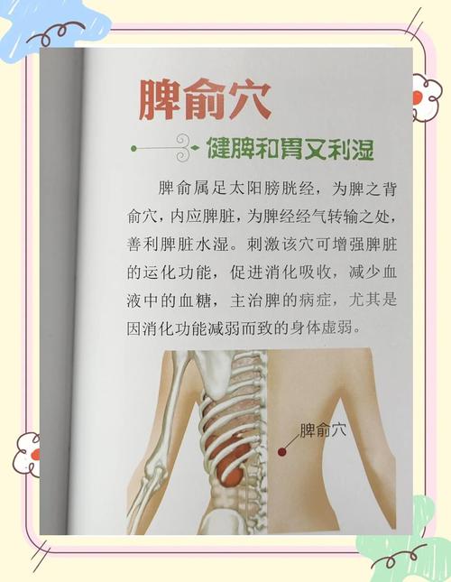 小儿穴位中 脾经穴位于