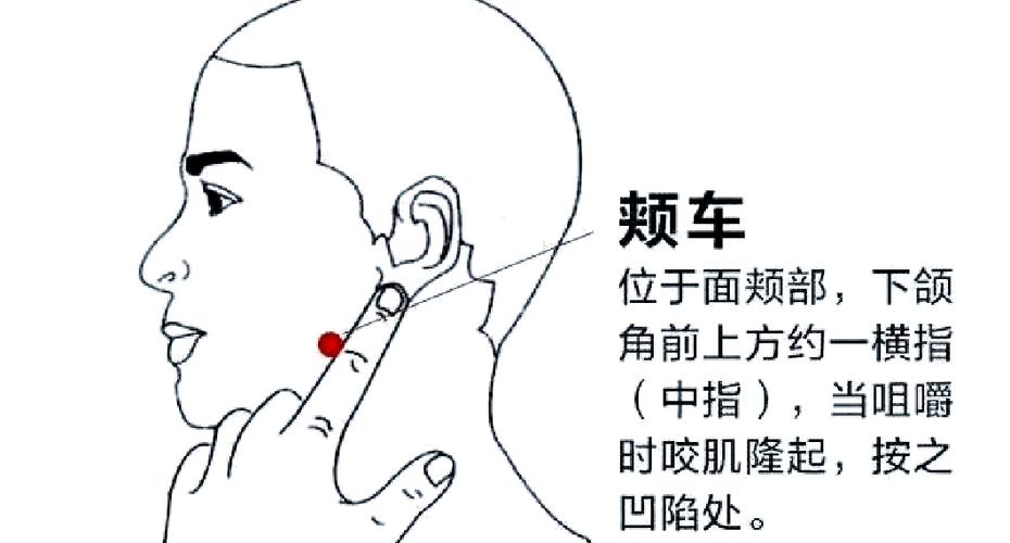 下关下关穴位和颊车穴位