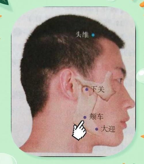 下关下关穴位和颊车穴位