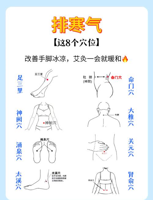 养生穴位艾灸那几个穴位