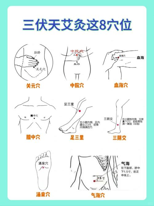 养生穴位艾灸那几个穴位