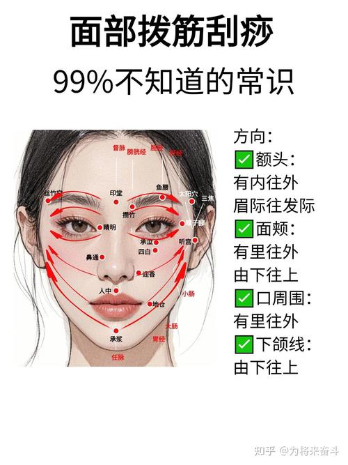 面部穴位图解与穴位疗法