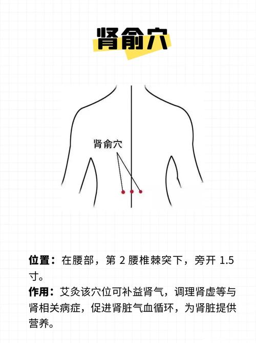 哪个穴位可以增强肾功能
