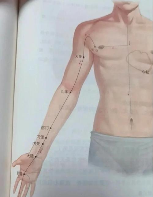 心包经的穴位在哪个位置