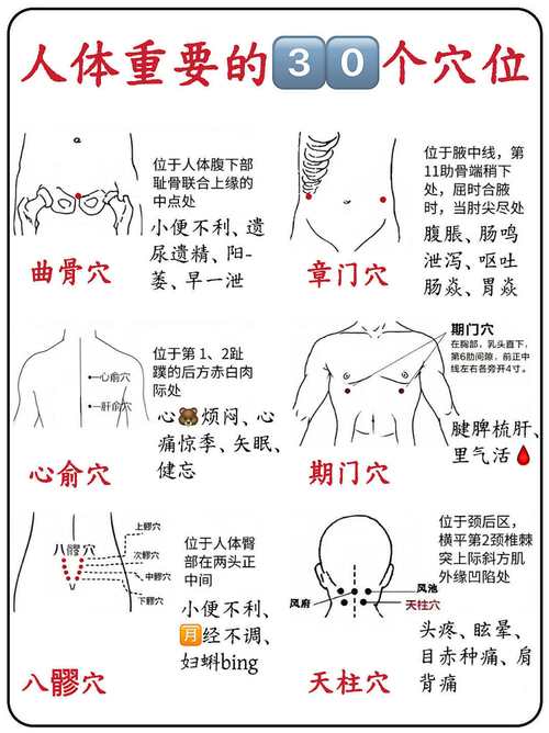 增强性能力按摩那些穴位