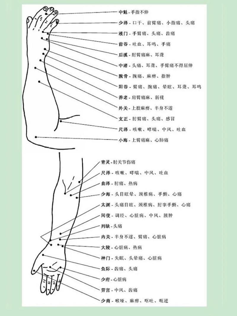 全图解经络穴位速查手册