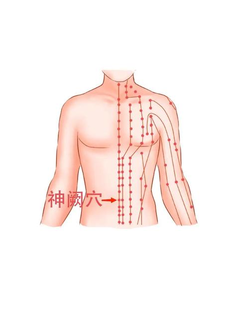 胃动力不足艾灸什么穴位