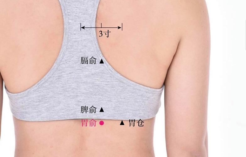 胃动力不足艾灸什么穴位