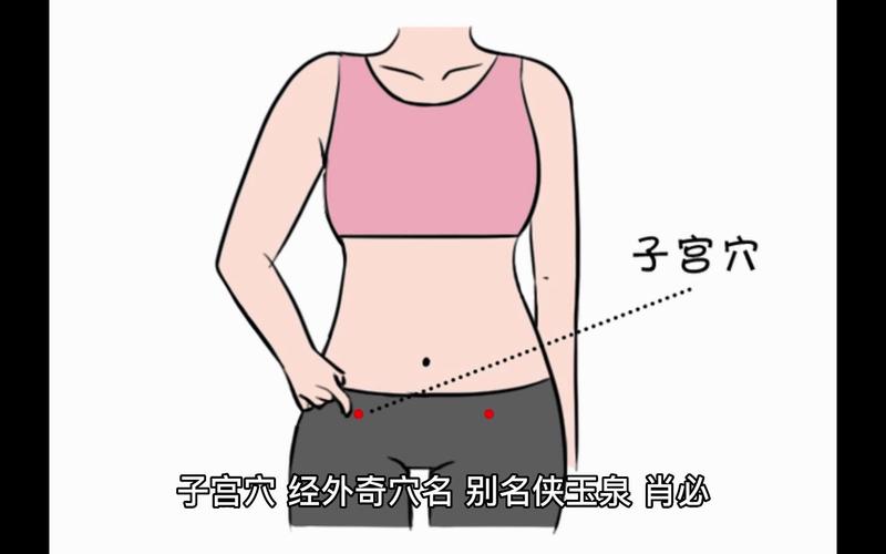 子宫穴位在左边还是右边