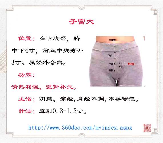 子宫穴位在左边还是右边