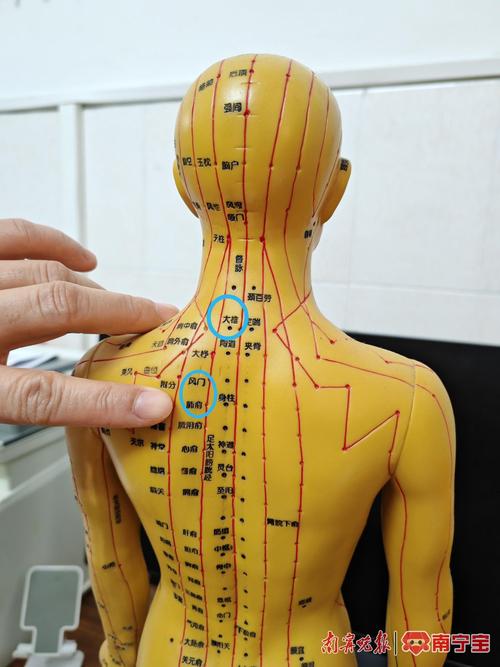 最新国家标准针灸穴位图